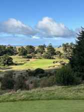 Bandon Trails 17th Vertical 2024